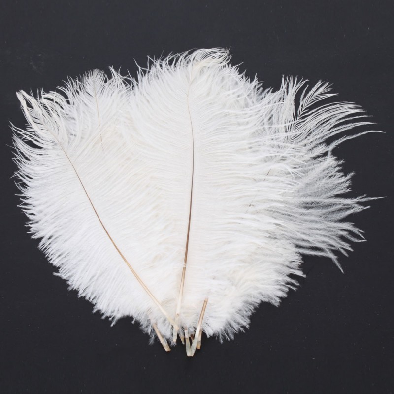 Ostrich Feather 10pcs Exquisite Decorative 2025cm White Alimart
