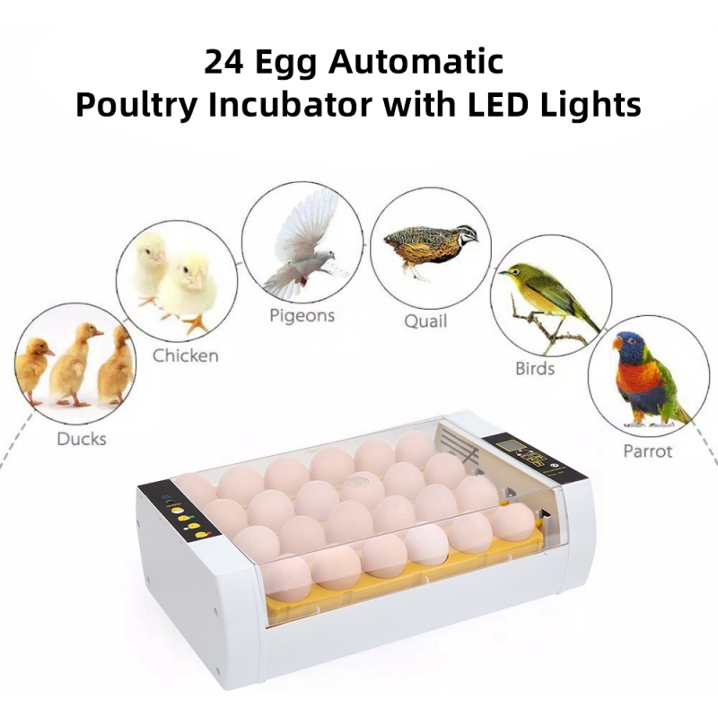 24 Eggs LED Light Full Automatic Poultry Incubator with Egg Candler
